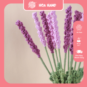 hoa len Lavender