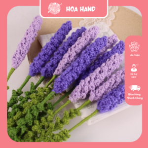 hoa len Lavender