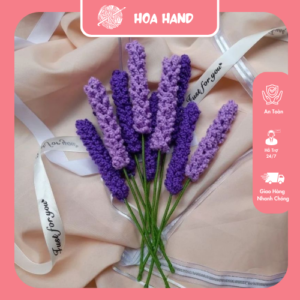 hoa len Lavender